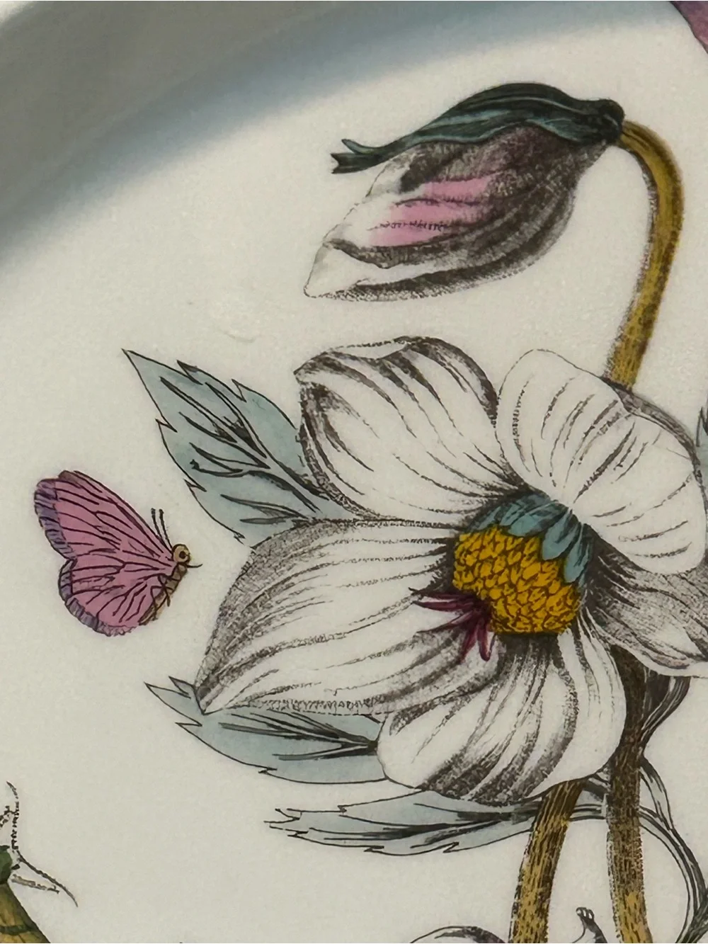 PORTMEIRION BOTANIC GARDEN 10.5” Christmas Rose Dinner Plate Butterflies 1972